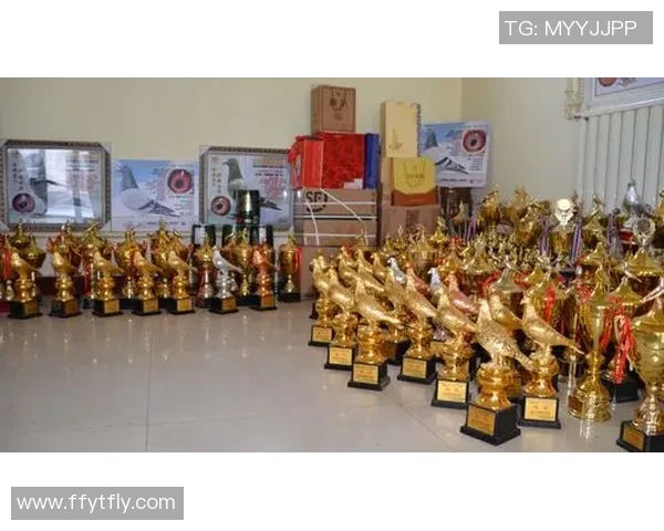 北京足球队在冠军赛中的节奏表现分析与未来展望 北京足球队在冠军赛中的节奏表现分析与未来展望