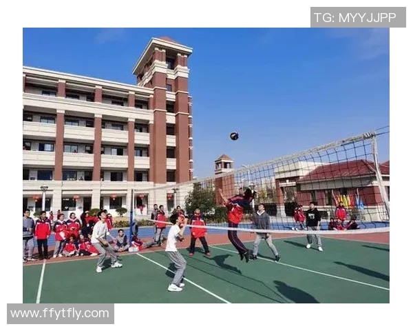 南京排球队的奋斗历程与洲际杯荣耀之路全景回顾