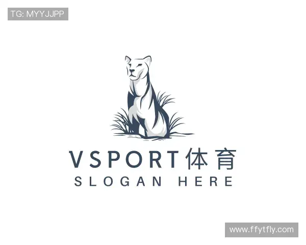 关于VSport